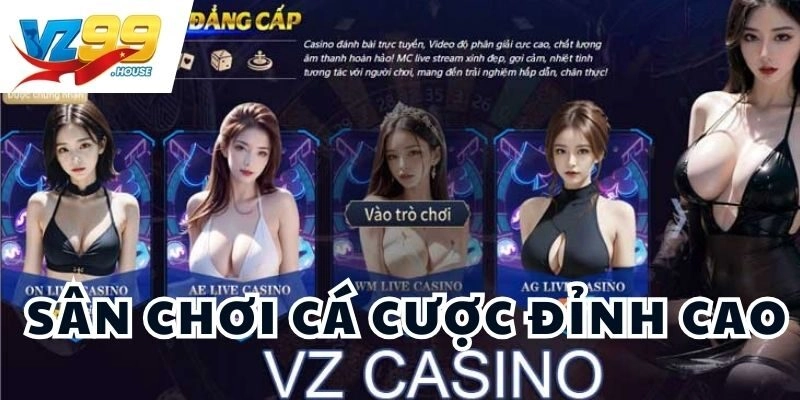 Sân chơi VZ99 mang đến trải nghiệm cá cược đỉnh cao