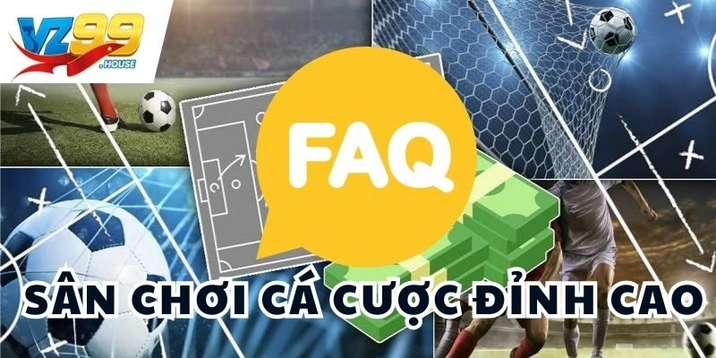 Trả lời thắc mắc cho người chơi mới